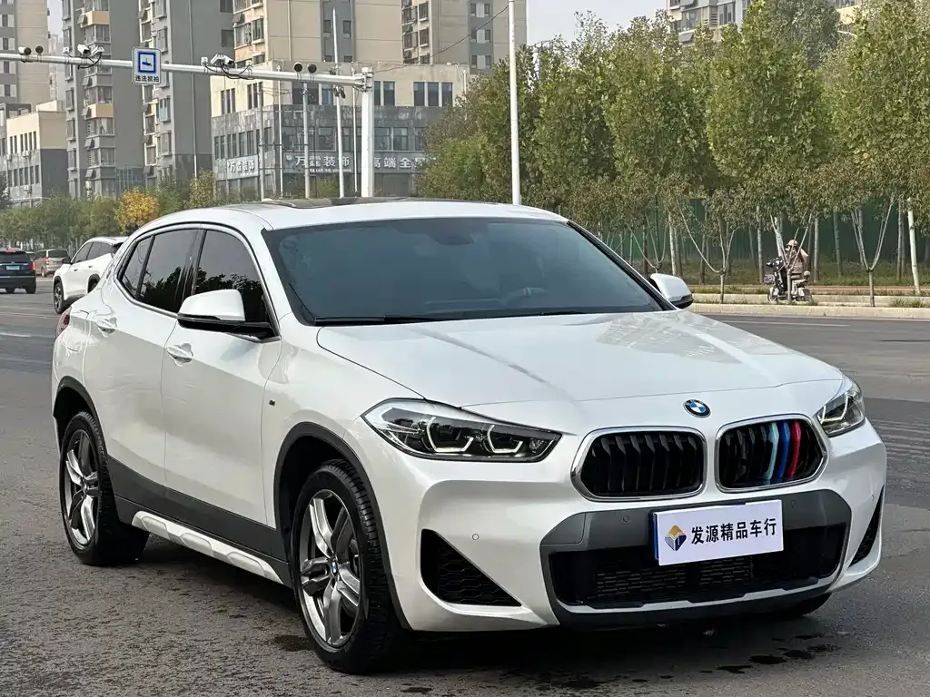 BMW X2 2021 из CN, фото 8