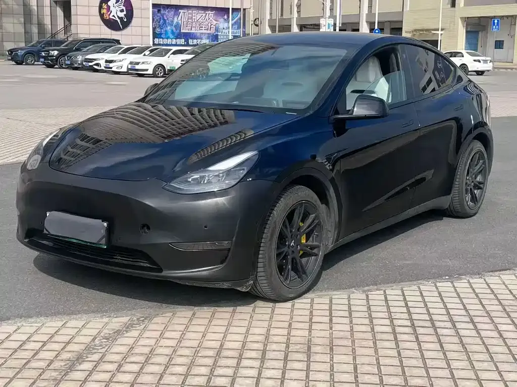 Tesla Model Y 2022 из CN, фото 1