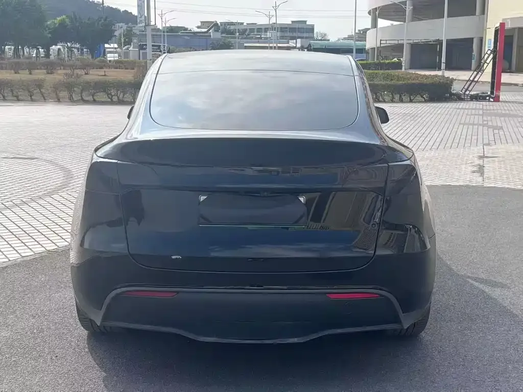 Tesla Model Y 2022 из CN, фото 6