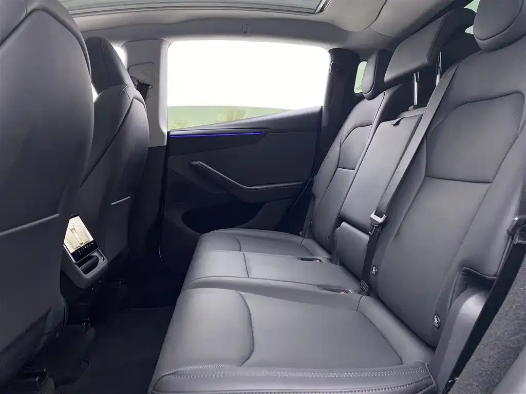 Tesla Model Y 2025 из CN, фото 8