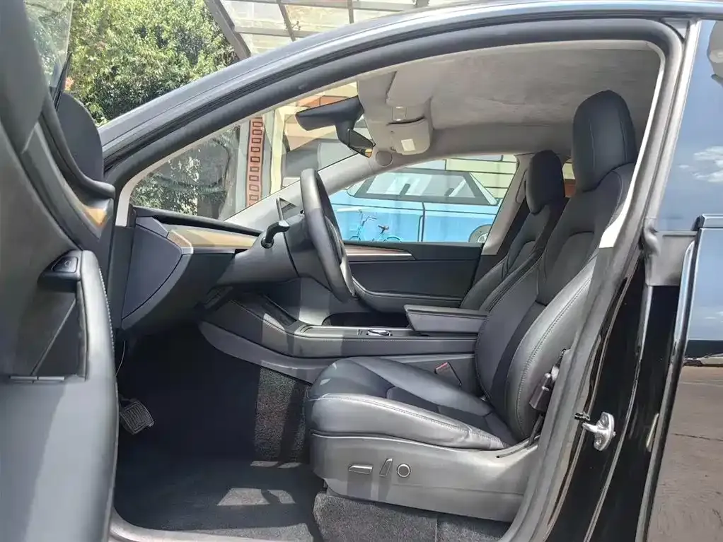 Tesla Model Y 2021 из CN, фото 6