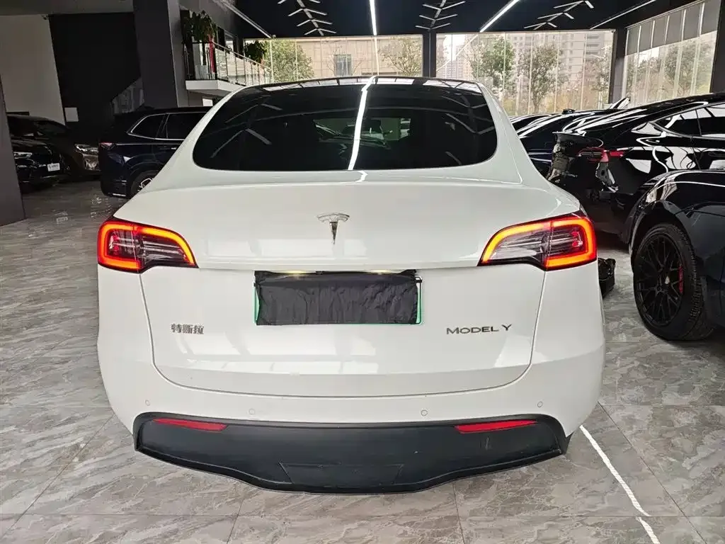 Tesla Model Y — фото 10
