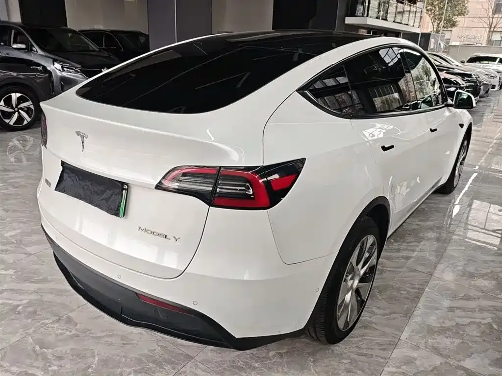 Tesla Model Y — фото 8