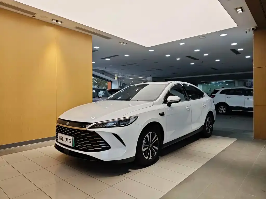 BYD Qin PLUS 2025 из CN, фото 1