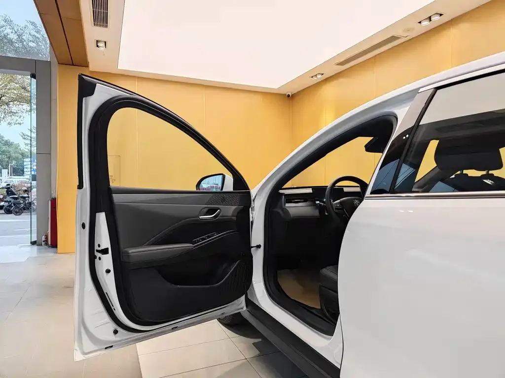 BYD Qin PLUS 2025 из CN, фото 5