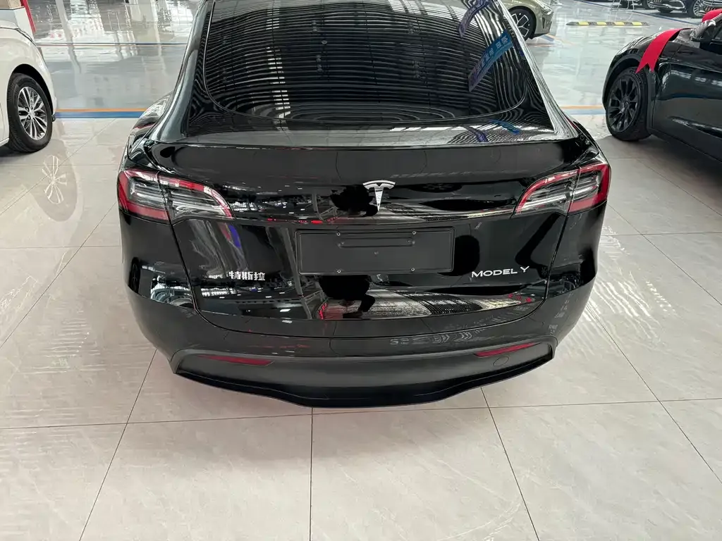 Tesla Model Y — фото 2