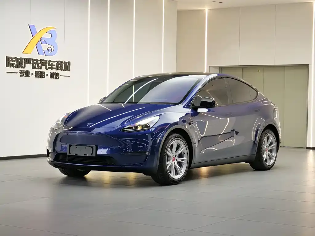 Tesla Model Y — фото 1