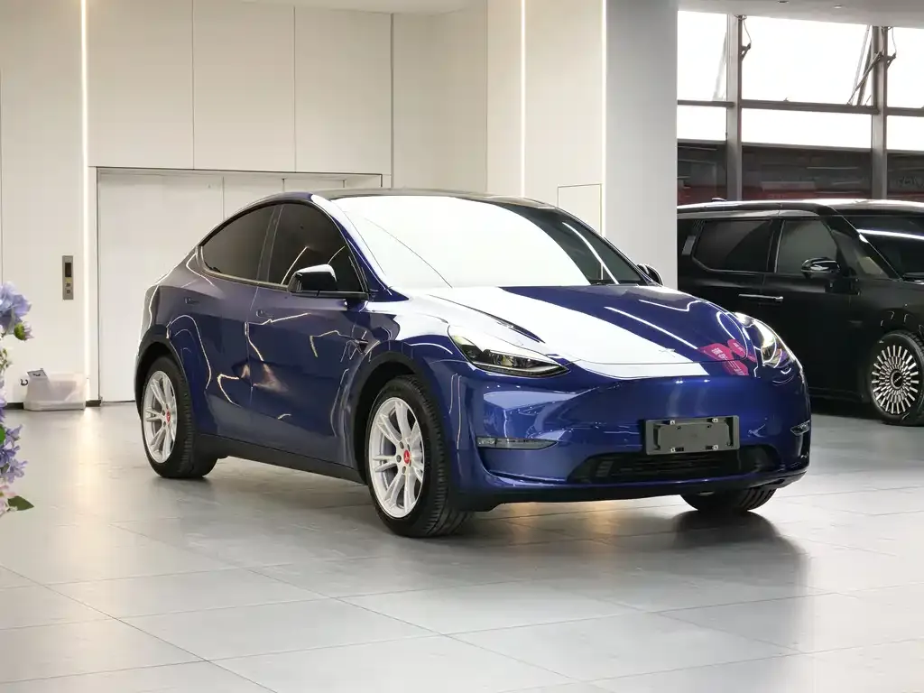 Tesla Model Y — фото 2