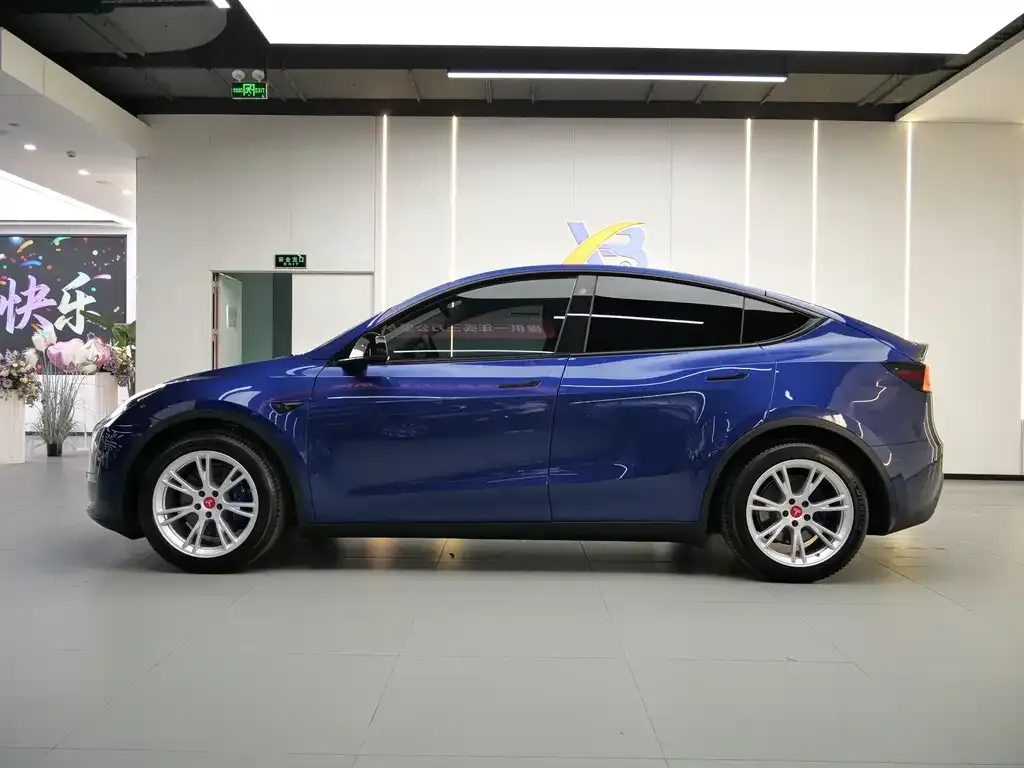 Tesla Model Y — фото 3
