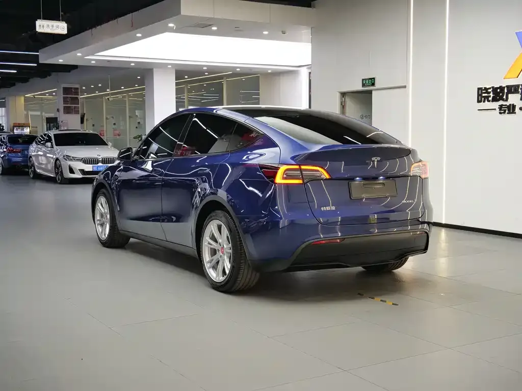 Tesla Model Y — фото 5