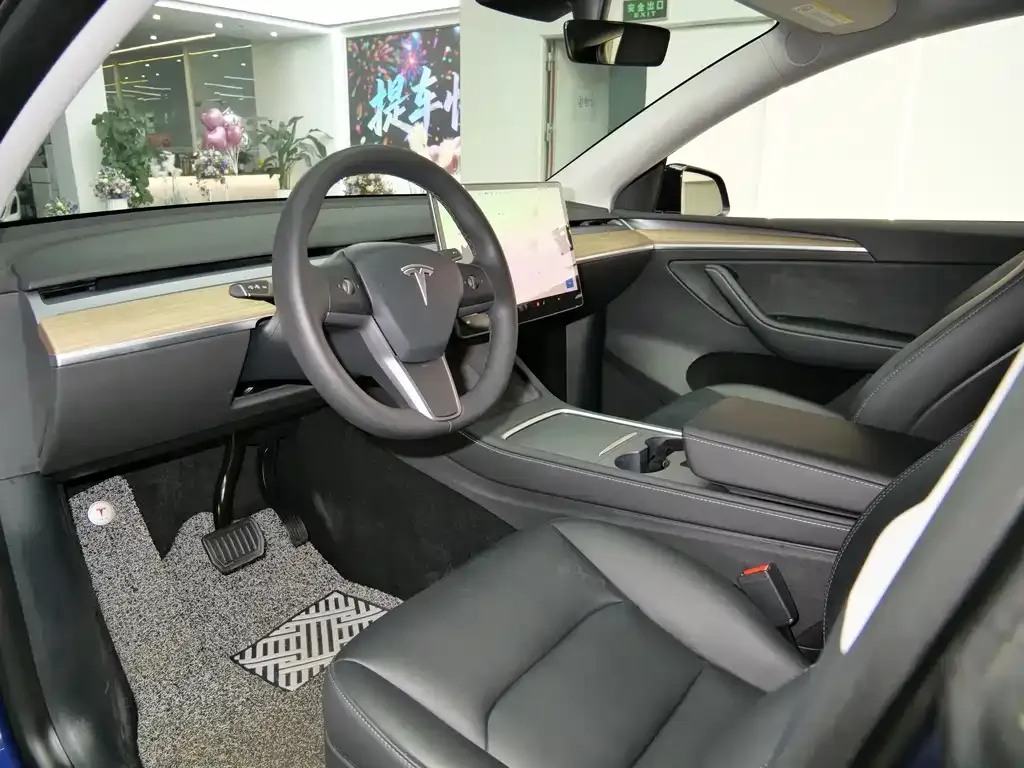 Tesla Model Y — фото 10