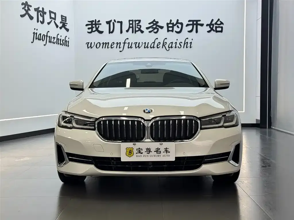 BMW 5 Series 2022 из CN, фото 1