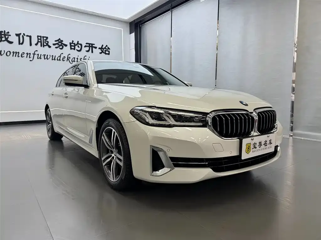 BMW 5 Series 2022 из CN, фото 6