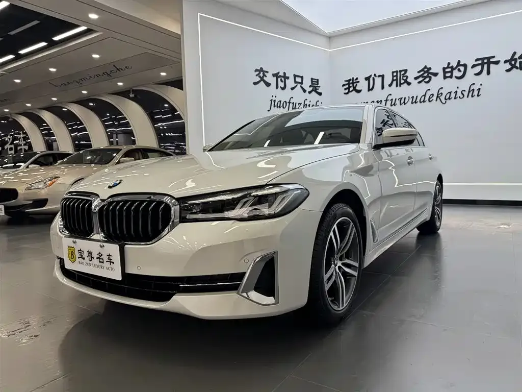 BMW 5 Series 2022 из CN, фото 9