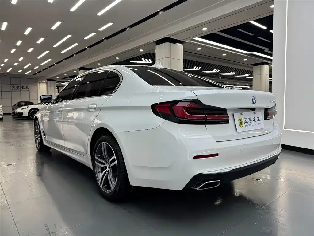 BMW 5 Series 2022 из CN, фото 5