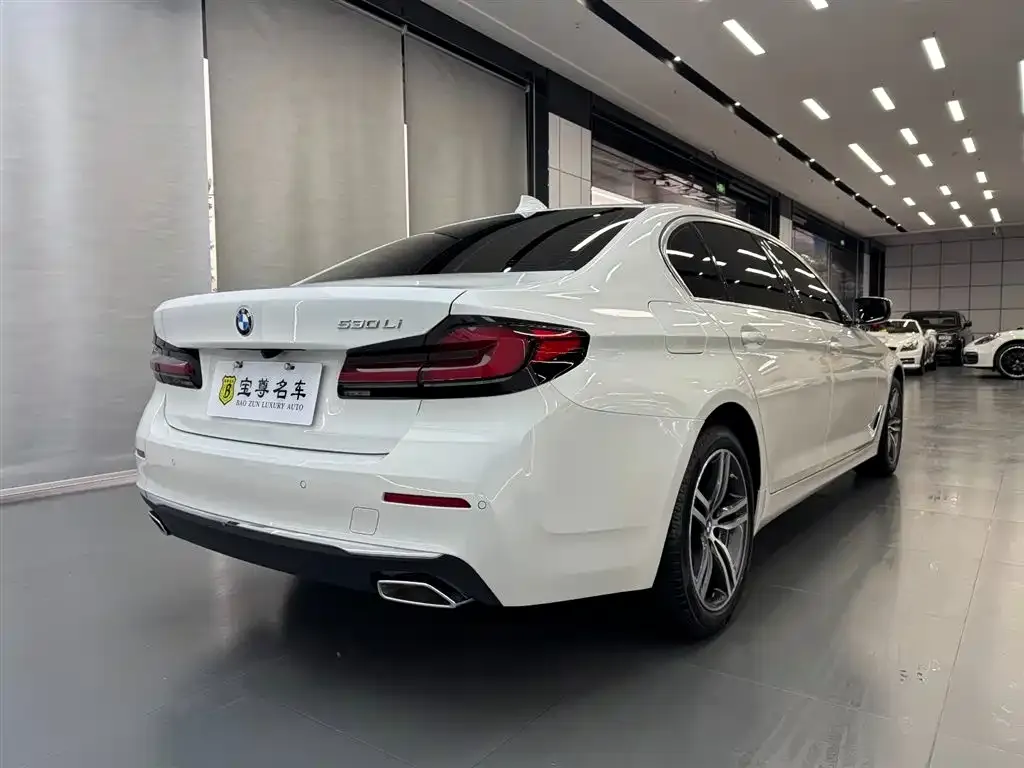 BMW 5 Series 2022 из CN, фото 7