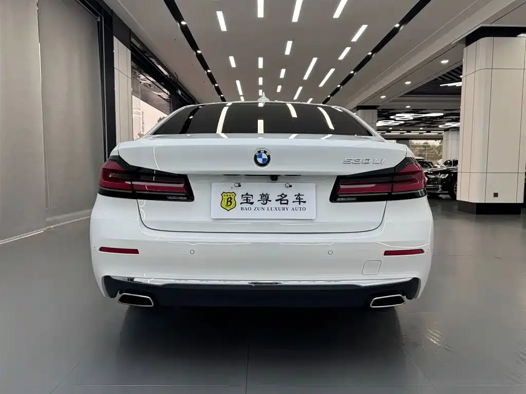 BMW 5 Series 2022 из CN, фото 3