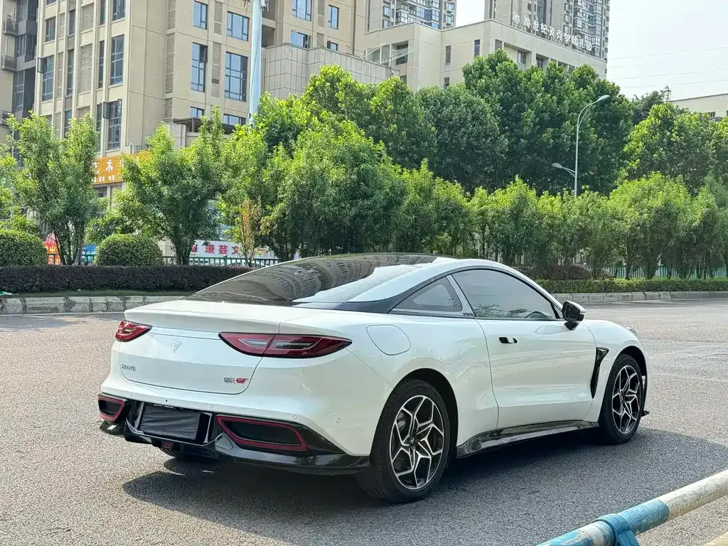 Neta GT 2023 из CN, фото 8