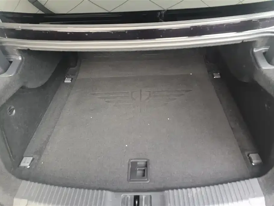 Hongqi H9 2022 из CN, фото 4