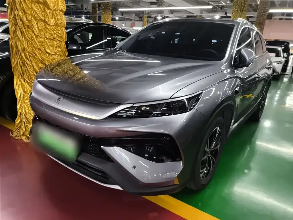BYD Pro New Energy 2025 из CN, фото 1