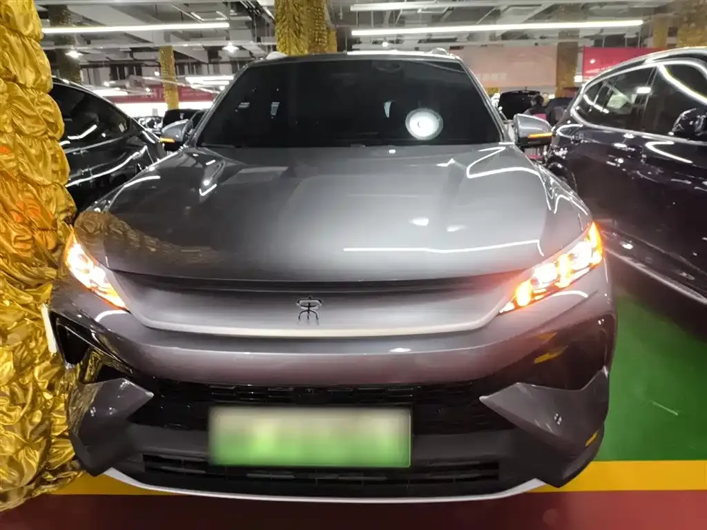 BYD Pro New Energy 2025 из CN, фото 2