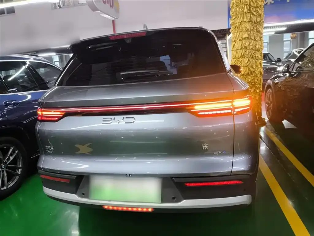 BYD Pro New Energy 2025 из CN, фото 8