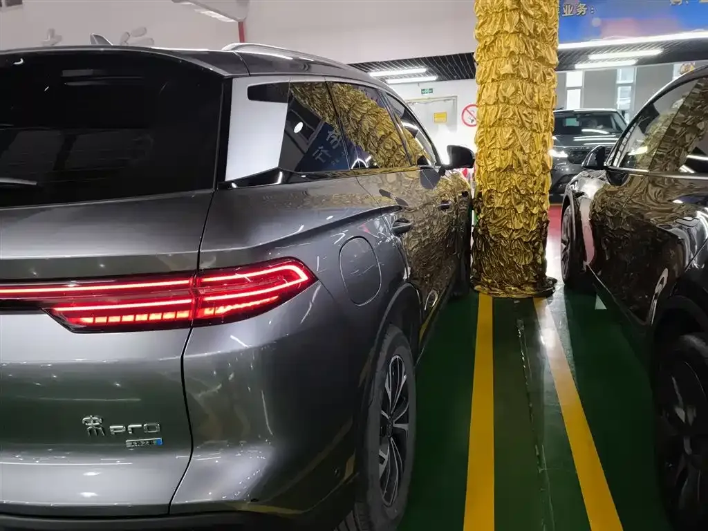 BYD Pro New Energy 2025 из CN, фото 9