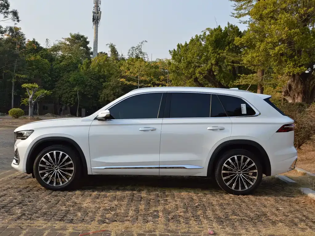 Geely Xingyue L 2025 из CN, фото 9