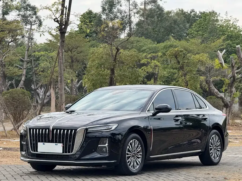 Hongqi H5 2025 из CN, фото 1