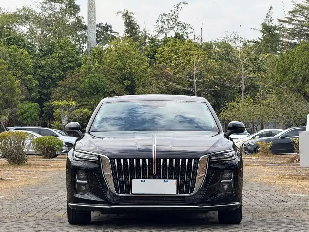 Hongqi H5 2025 из CN, фото 5