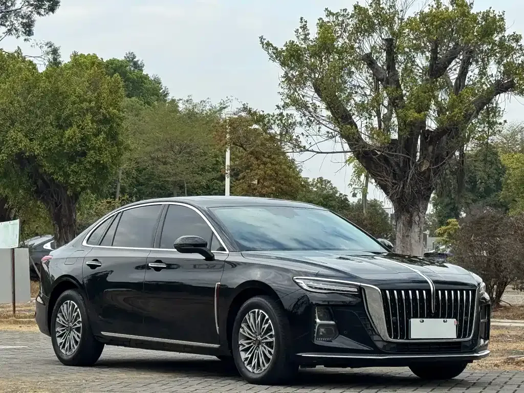Hongqi H5 2025 из CN, фото 9