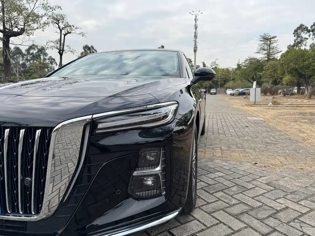 Hongqi H5 2025 из CN, фото 10