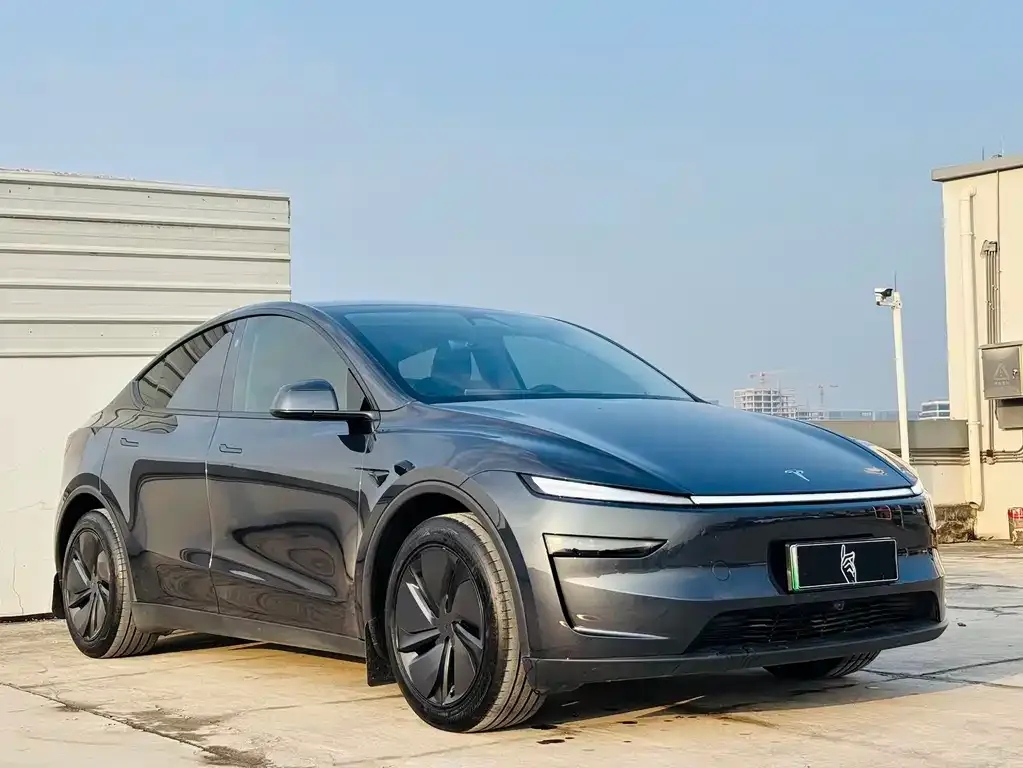 Tesla Model Y — фото 9