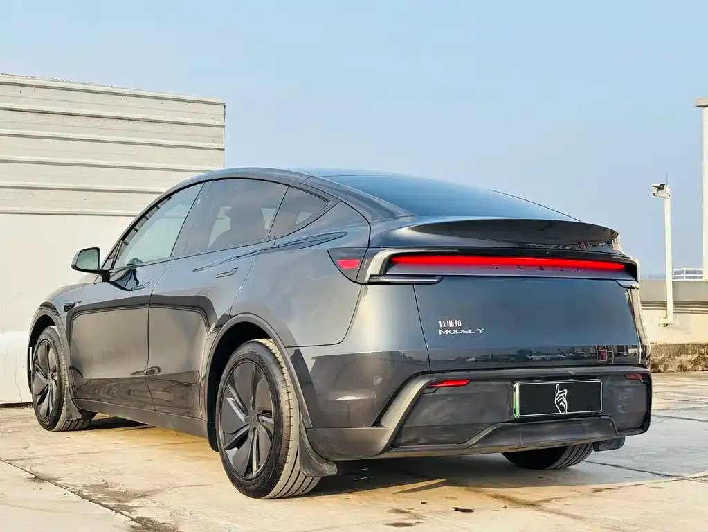 Tesla Model Y — фото 10