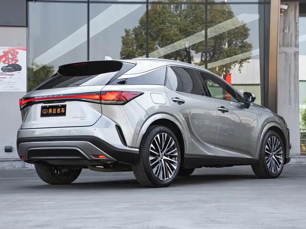 Lexus RX New Energy 2023 из CN, фото 9