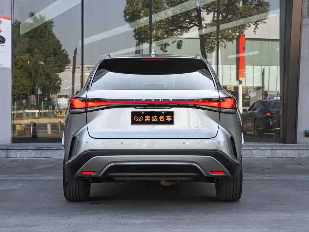 Lexus RX New Energy 2023 из CN, фото 8