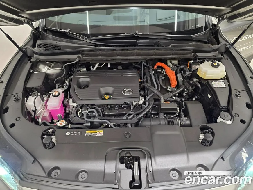 Lexus RX 2025 из KR, фото 6