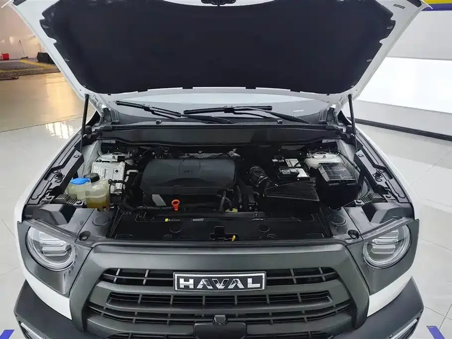 Haval Big Dog — фото 10