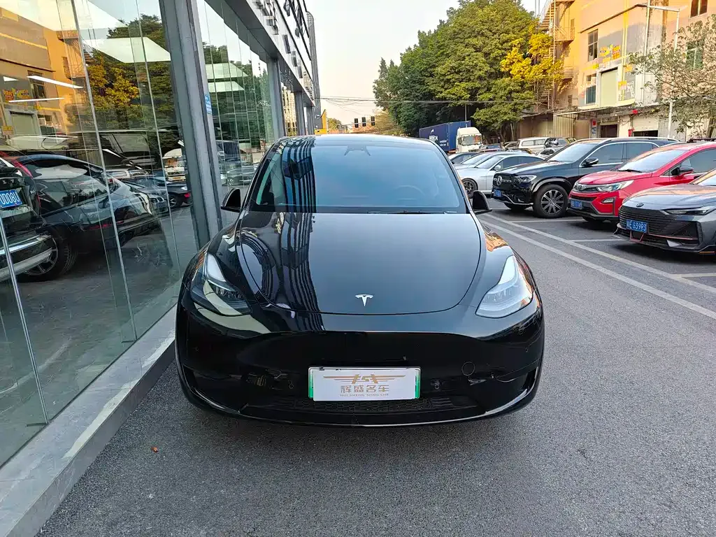 Tesla Model Y — фото 8
