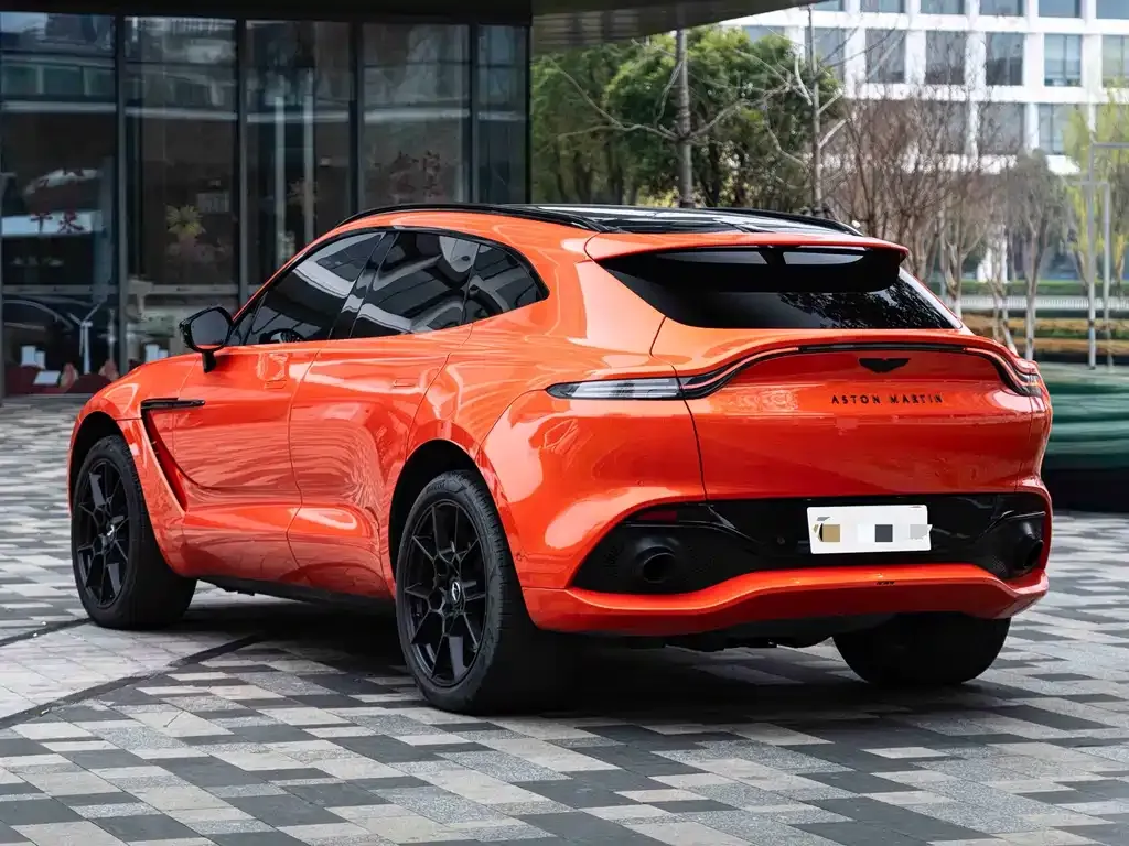 Aston Martin DBX 2022 из CN, фото 4
