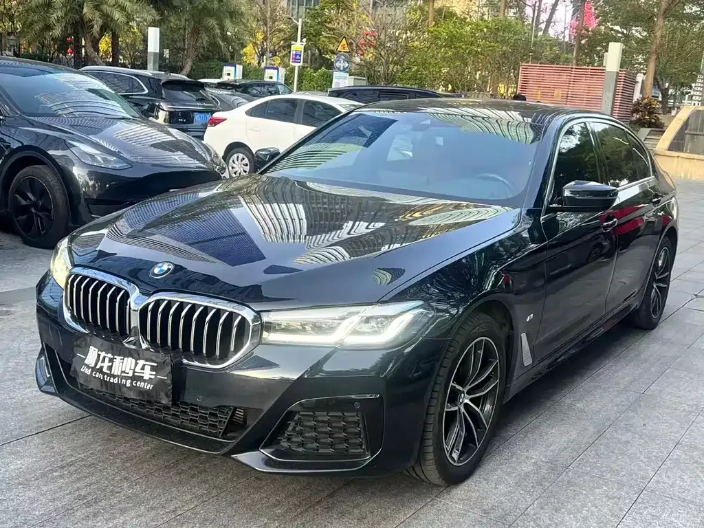 BMW 5 Series 2023 из CN, фото 1