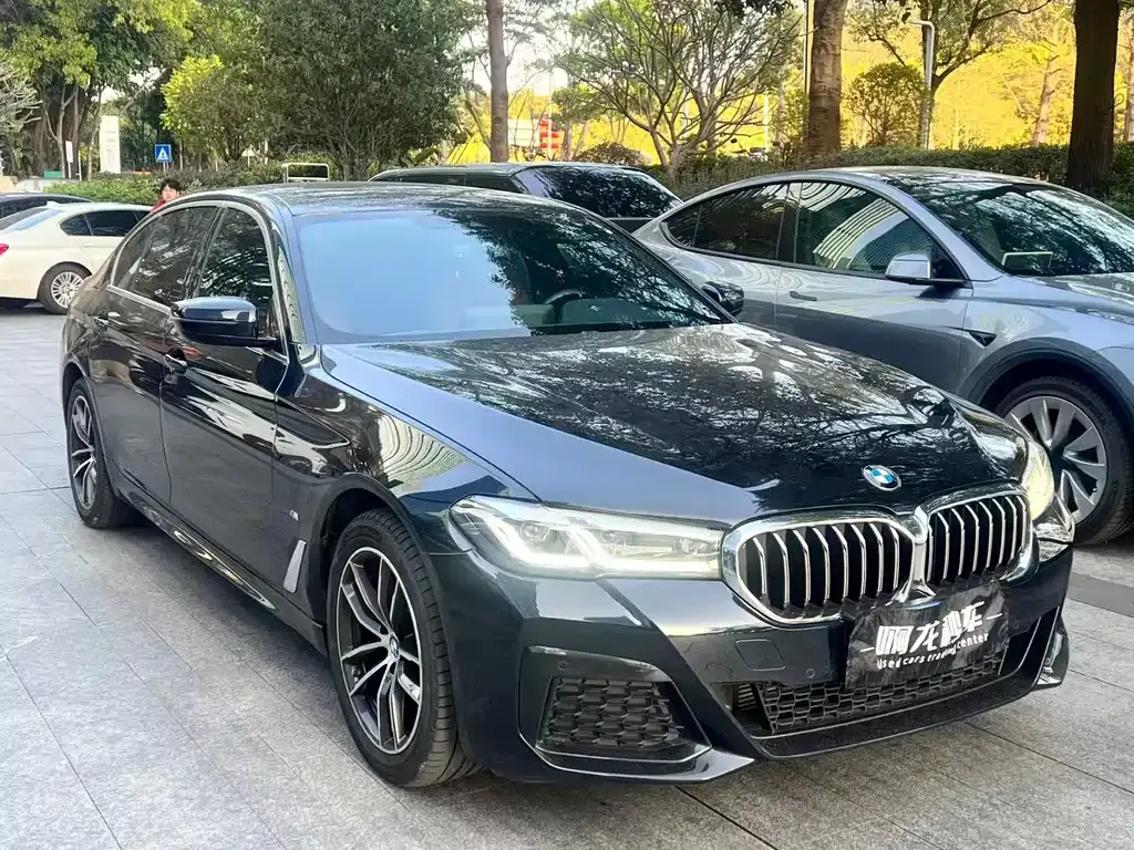 BMW 5 Series 2023 из CN, фото 8