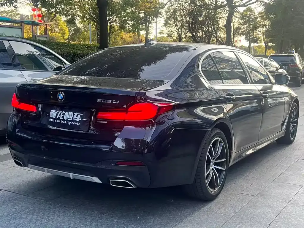 BMW 5 Series 2023 из CN, фото 9