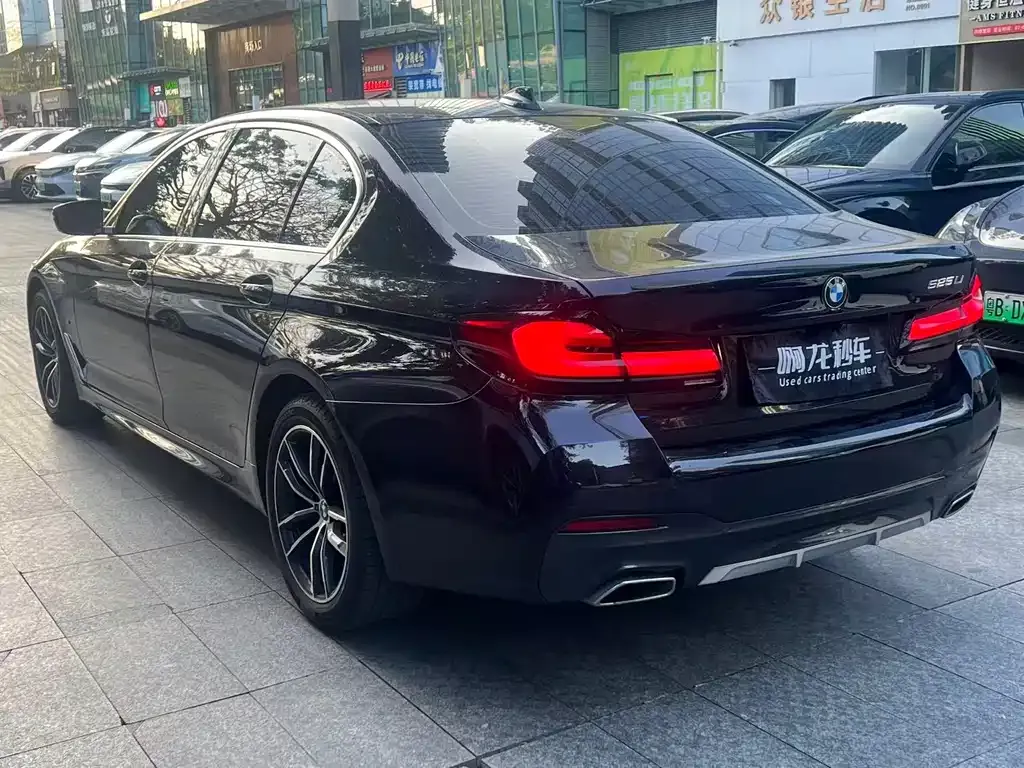 BMW 5 Series 2023 из CN, фото 6