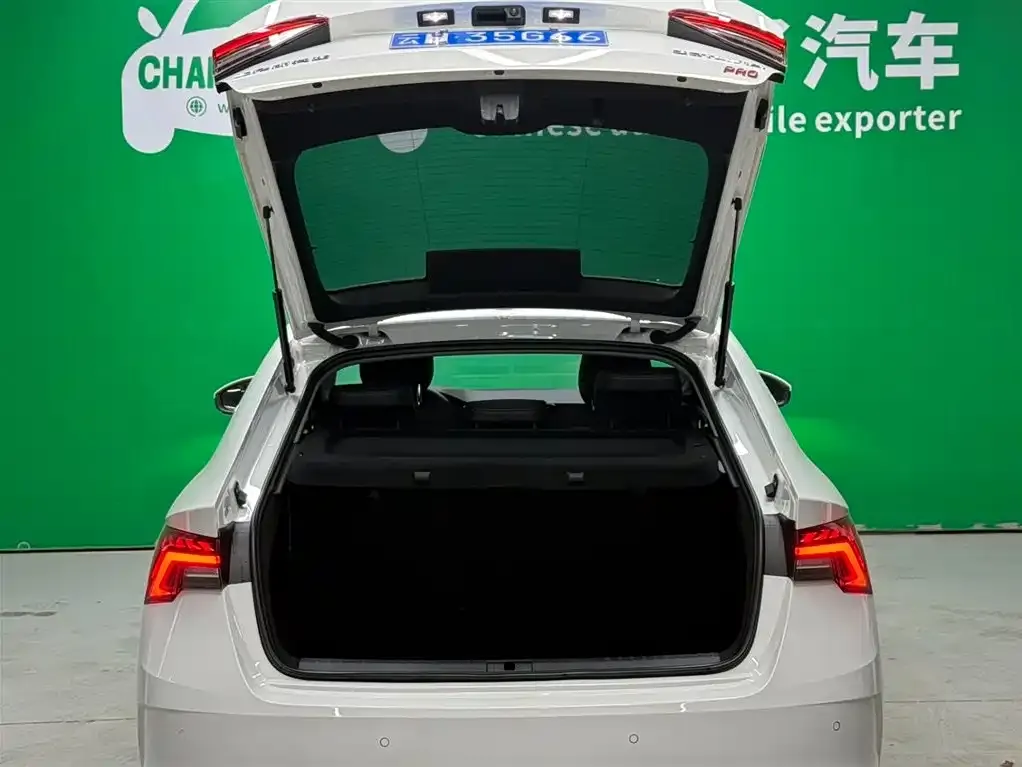 Skoda Octavia 2021 из CN, фото 4