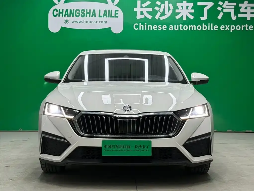 Skoda Octavia 2021 из CN, фото 7