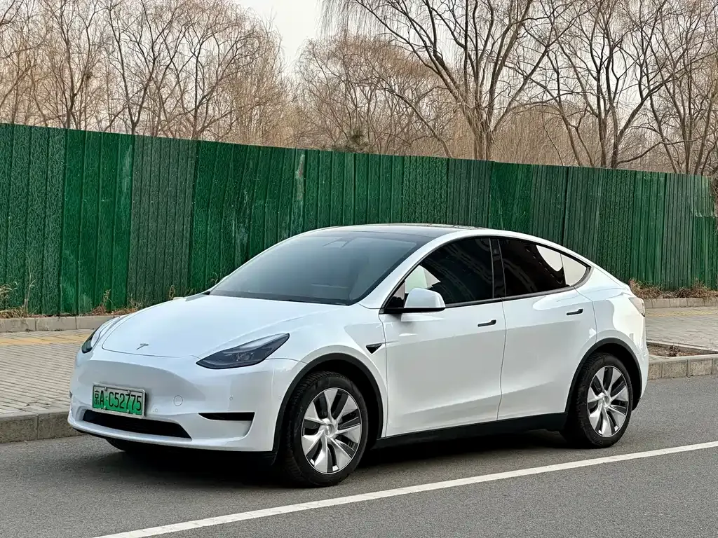 Tesla Model Y — фото 1