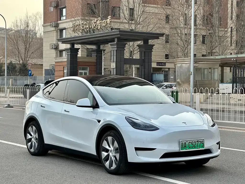 Tesla Model Y — фото 10