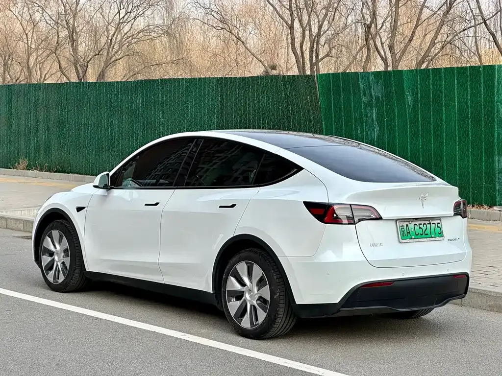 Tesla Model Y — фото 9
