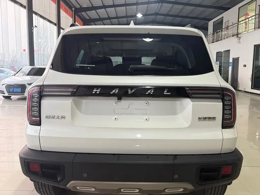 Haval Big Dog 2022 из CN, фото 3